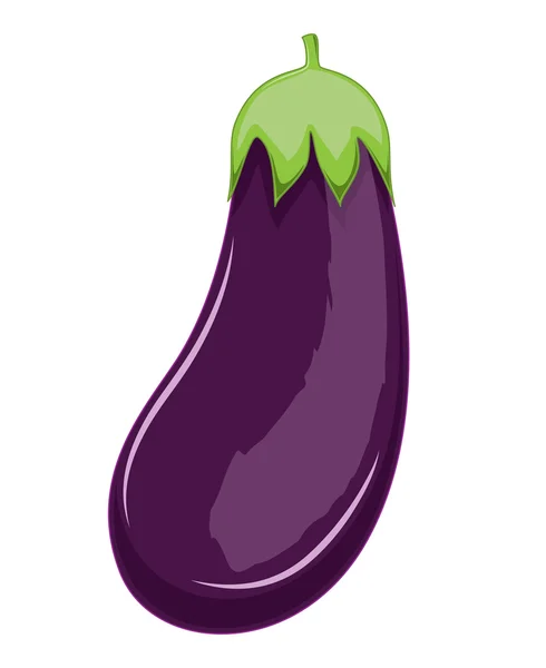 Puple Eggplant — Stock Vector