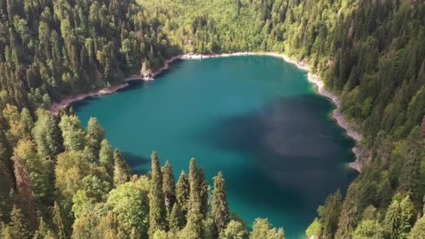 Pequeno lago Ritsa na floresta, vista aérea — Vídeo de Stock