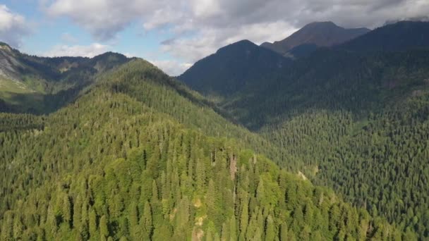 Mountain range covered with coniferous forest from above — Stock video