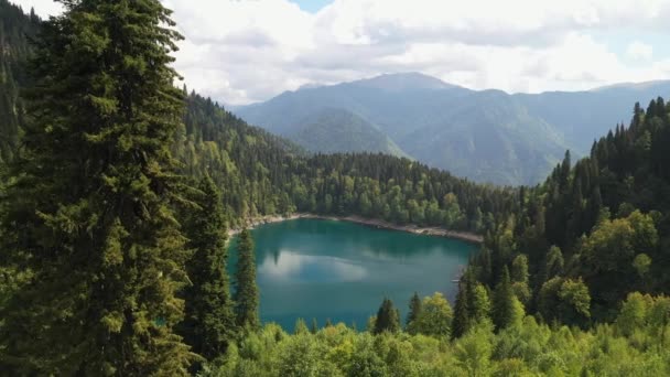 Piękne małe jezioro w lesie górskim, widok z góry — Wideo stockowe