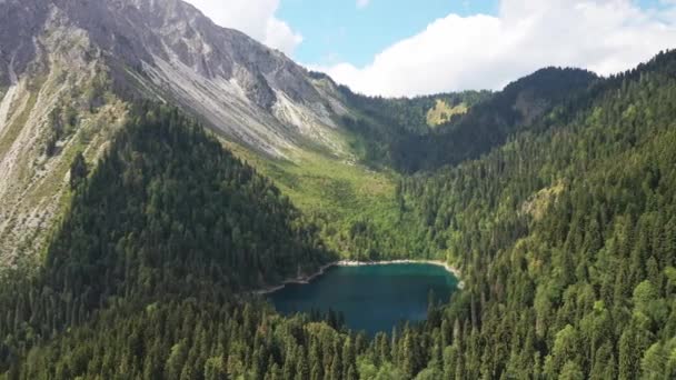 Błękitne jezioro w górskim lesie z góry — Wideo stockowe