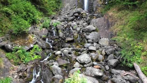 Hermosas cascadas de agua en el bosque de montaña — Vídeo de stock