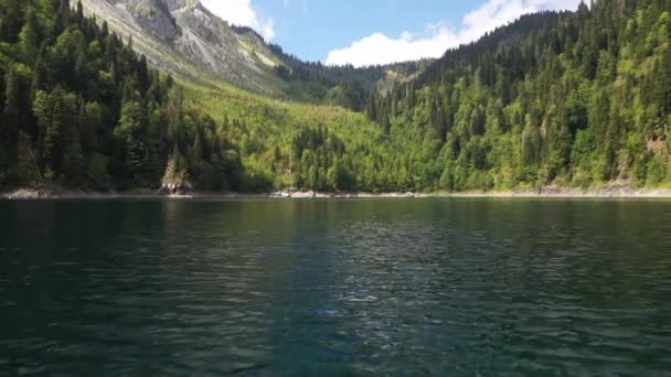 阿布哈兹Ritsa湖小一点的水面和树梢上空飞行 — 图库视频影像