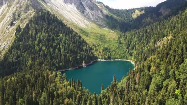 Beautiful lake and forest in the mountains from above — Stock Video