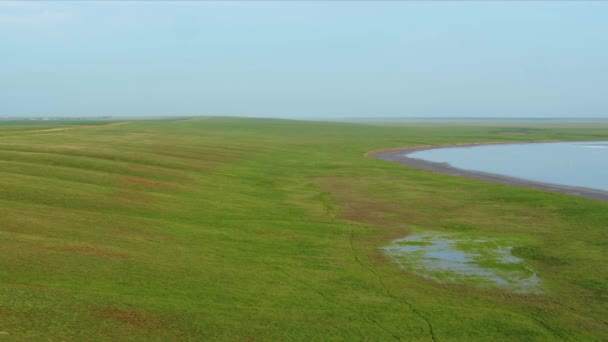 Lago Manych y campo de tulipanes florecientes desde arriba — Vídeos de Stock