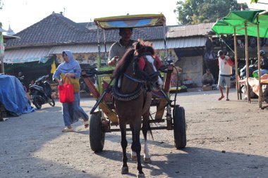 Lombok Timur, Endonezya 'da Bendi olarak bilinen geleneksel Endonezya At Arabası - 8 Eylül 2025