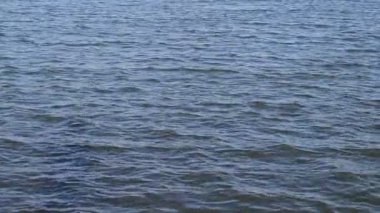 Mavi Su Yüzeyi Güneşli Bir Gün 'de Dalgalanıyor