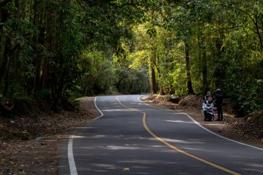 Döner yollar yemyeşil tropikal orman ormanlarında kıvrılır..