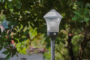 Sokak lambası park bahçesinde duruyor..