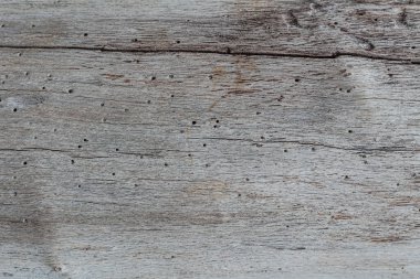 Vintage Pitted Wood dokusu