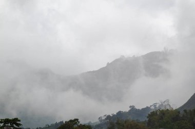 Dik yamaçları kaplayan alçak bulutlu sisli dağ manzarası.