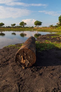 Eski Ahşap Kütük Lakeside Toprağı Üzerinde Uzanıyor Gökyüzü Yansıması ve Sükunet Açısında Doğal Işık
