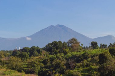 Canlı mavi gökyüzünün altında yoğun yeşil bir ormanı gözler önüne seren nefes kesici dağ manzarası. HDR ile yakalanmış ve önemli bir kopya alanı sunuyor.