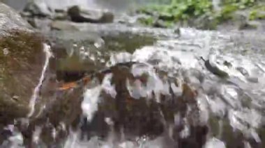 Sendang Gile Şelalesinin Tazeleyici Suyu Kayaların Üzerinden Akıyor, Kuzey Lombok 'ta Doğanın Güzelliği ve Sükunetini Sunuyor, turizm videoları için mükemmel