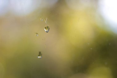 Su damlacıklarının cam bir yüzeye tutunarak makro görüntüsü, yumuşak, bulanık yeşil ve beyaz bir zemin üzerine kurulmuş, doğa, saflık ve yenilenmeyle ilgili grafiklerde kullanmak için mükemmel.