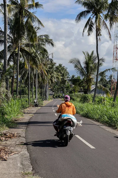 6 Haziran 2025 'te Lombok, Endonezya' da palmiyelerle sınırlandırılmış yolda araç kullanma