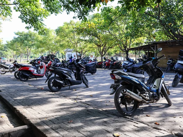 6 Ekim 2025, Mataram, Endonezya 'daki ağaçların gölgesinde motosikletler bekliyor.