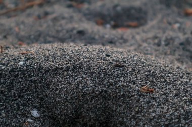 Detaylı Kum Dokusunun Doğal Arkaplan ve Yapısal Fikir İçin Tohumlarla Yumuşak Bir Eğim Oluşturması