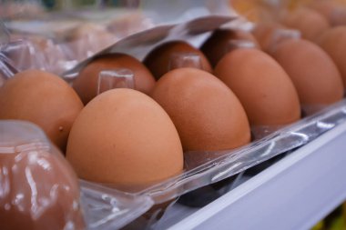 Brown Eggs in Plastic Carton illuminated by Natural Light for Healthy Cooking and Nutritious Breakfast Ingredients