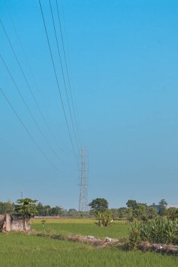 Yüksek Voltajlı Sütun Mavi Gök Altında Yeşil Alan 'da Doğal Işık Depolama Güç İletimi ve Tarım Manzarası ile Duruyor