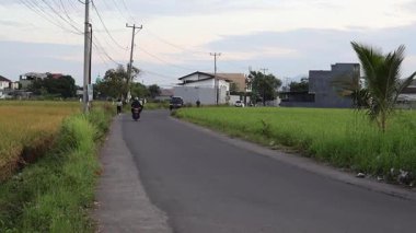 14 Mayıs 2025 'te Mataram, Endonezya yakınlarında pirinç tarlaları olan kırsal bir yolda motosikletli.