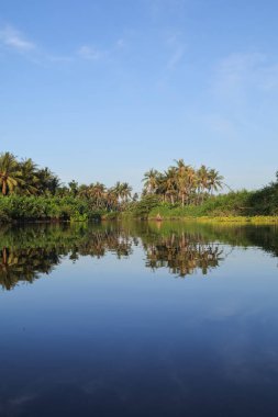 Mavi gökyüzü altında berrak sulara yansıyan tropikal bitki örtüsüyle sakin nehir manzarası, doğa, turizm ve refah kavramları için fotokopi alanı içeriyor.