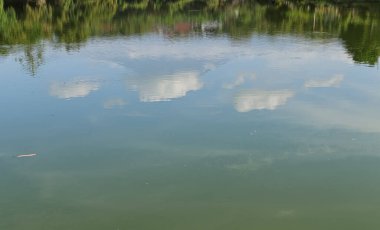 Göl suyu gökyüzünü yansıtıyor ve ağaçlar rahatlatıcı bir yapı oluşturuyor. Meditasyon için mükemmel. Rahatlamayı ve doğanın yansıtıcı güzelliğini ve uyumunu takdir etmeyi teşvik ediyor.