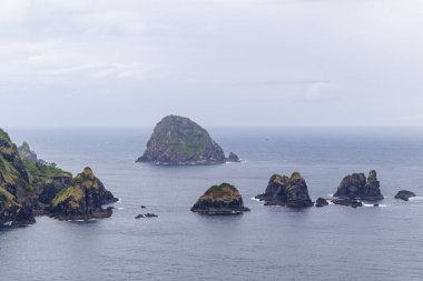 Kaya adacıkları koyu mavi okyanus suyundan yükselen yeşil bitki örtüsüyle kaplı bulutlu gökyüzünün altında.