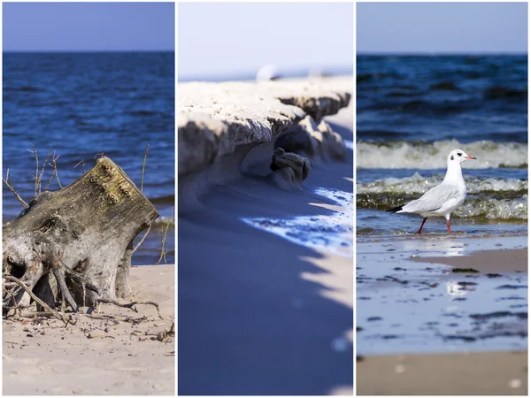 Güzel Baltık Denizi kartpostal