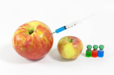 genetik olarak değiştirilmiş