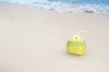 Tropikal Hindistan cevizi ferahlık