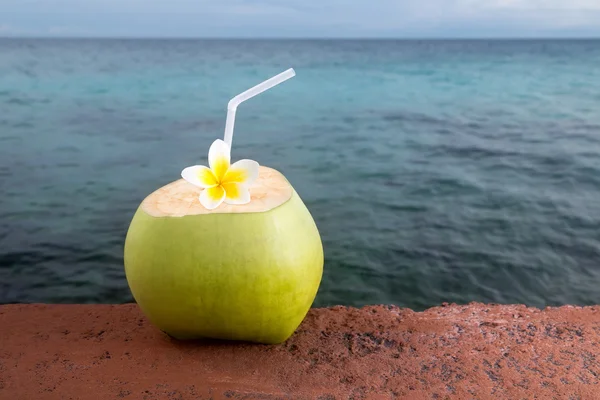 Erfrischung durch tropische Kokosnüsse — Stockfoto