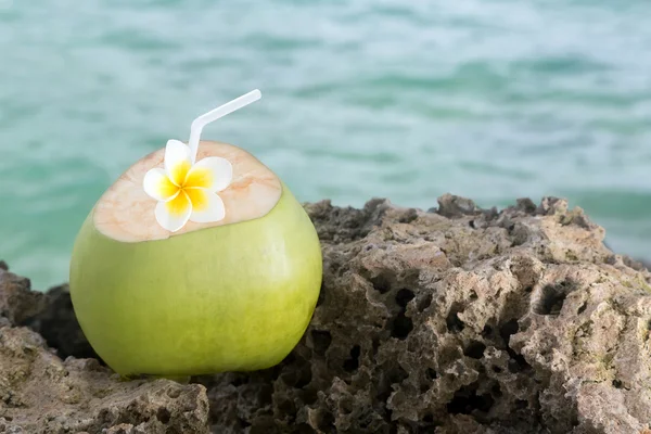 Tropical Coconut Refreshment Royalty Free Stock Photos
