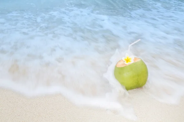 Tropische kokosnoot verfrissing — Stockfoto