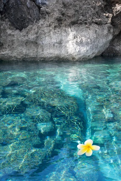 Tropical reef and rocky cliff Royalty Free Stock Photos