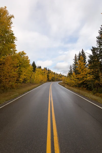 Sonbahar ormanı Kanada ıslak yol — Stok fotoğraf