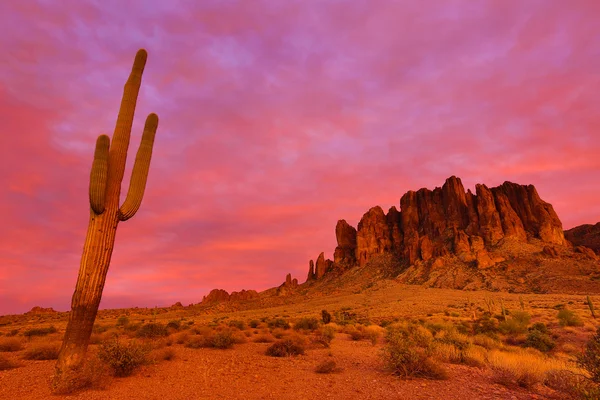 Saguaro against the sunset lit clouds in superstition mountains\ — 图库照片