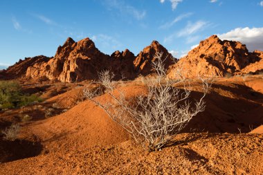 Sagebrush Nevada'da çöl ABD