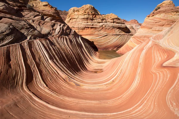 The wave in coyote butte  wilderness area — Stock Photo, Image