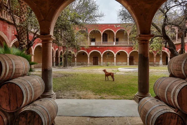 The interior court of jaral de berrio hacienda mexico — Stock fotografie