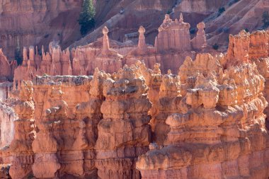 doğal geologycal oluşumları bryce canyon utha ABD