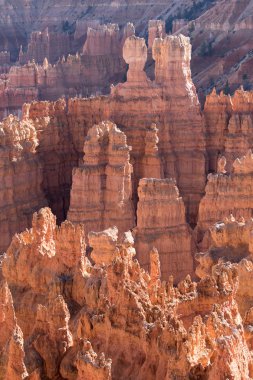 bryce canyon Utah erozyona uğramış kırmızı kaya oluşumları