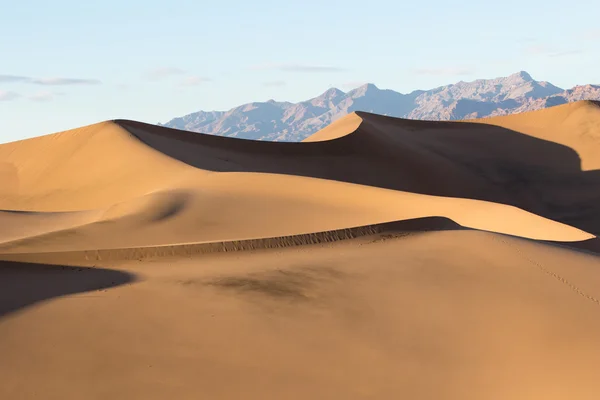 Золоті піщані дюни в Каліфорнії — стокове фото