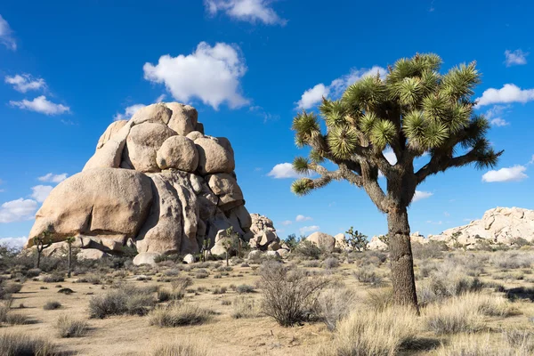 Intersección de rocas en el parque nacional de joshúa tree —  Fotos de Stock