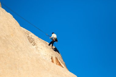 joshua tree national park kaya yüzüne azalan dağcı