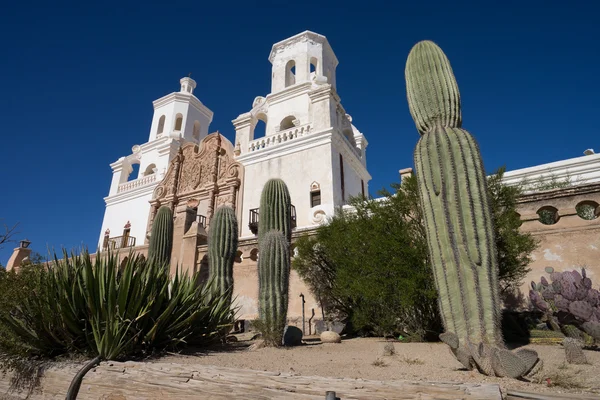 Saguaros davanti a san xavier mission tucson arizona — Foto Stock