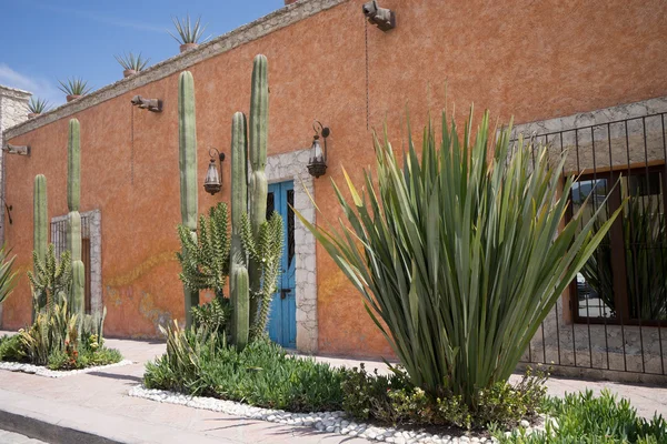 Mexican architectural details — Stock fotografie