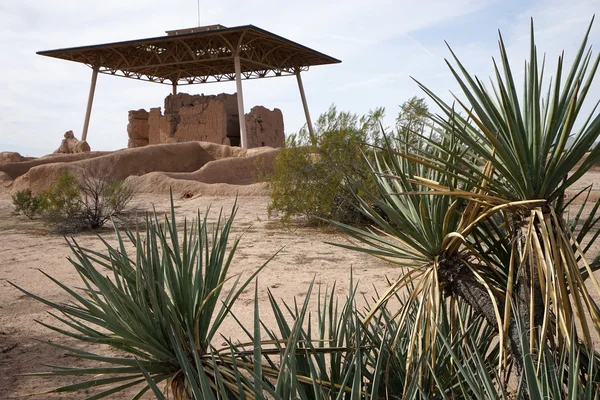 The casa grande ruin in arizona with yucca plants in the foregro — Stockfoto