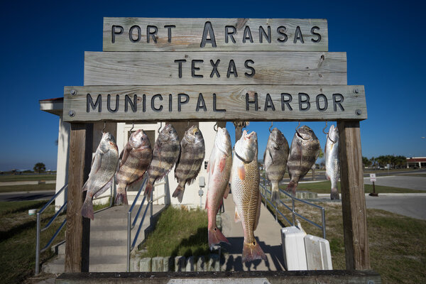 fish hung on cleaning station in port aranas texas 