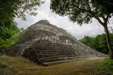 orman tarafından çevrili piramit